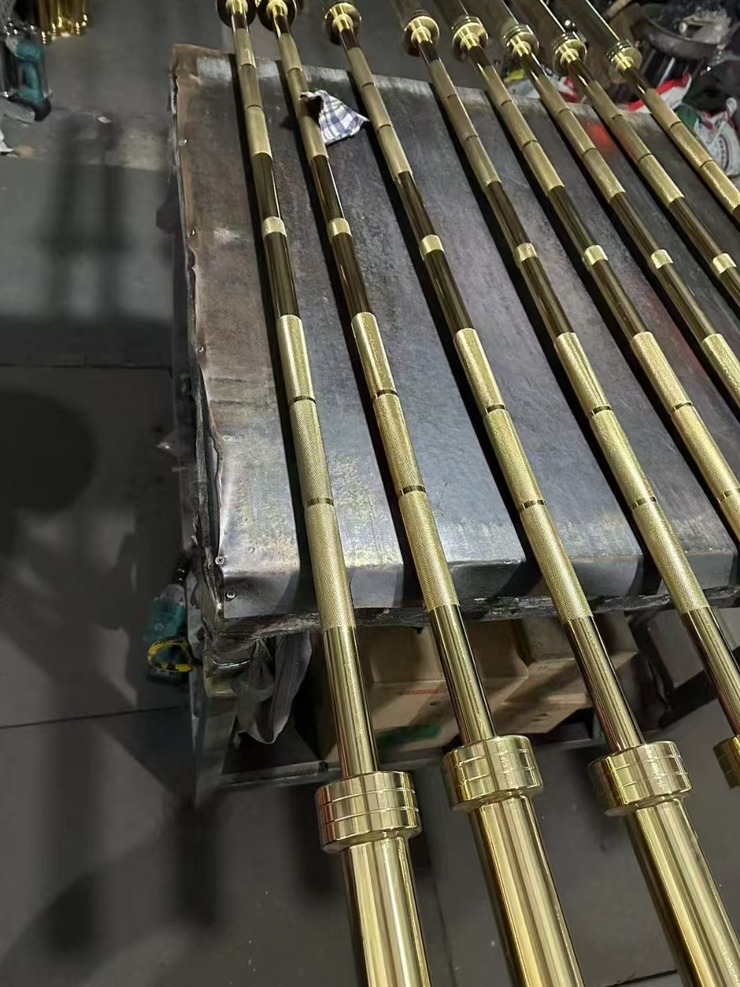 Barbell Curl Bar - Barbel Baja 20kg untuk Latihan Gym