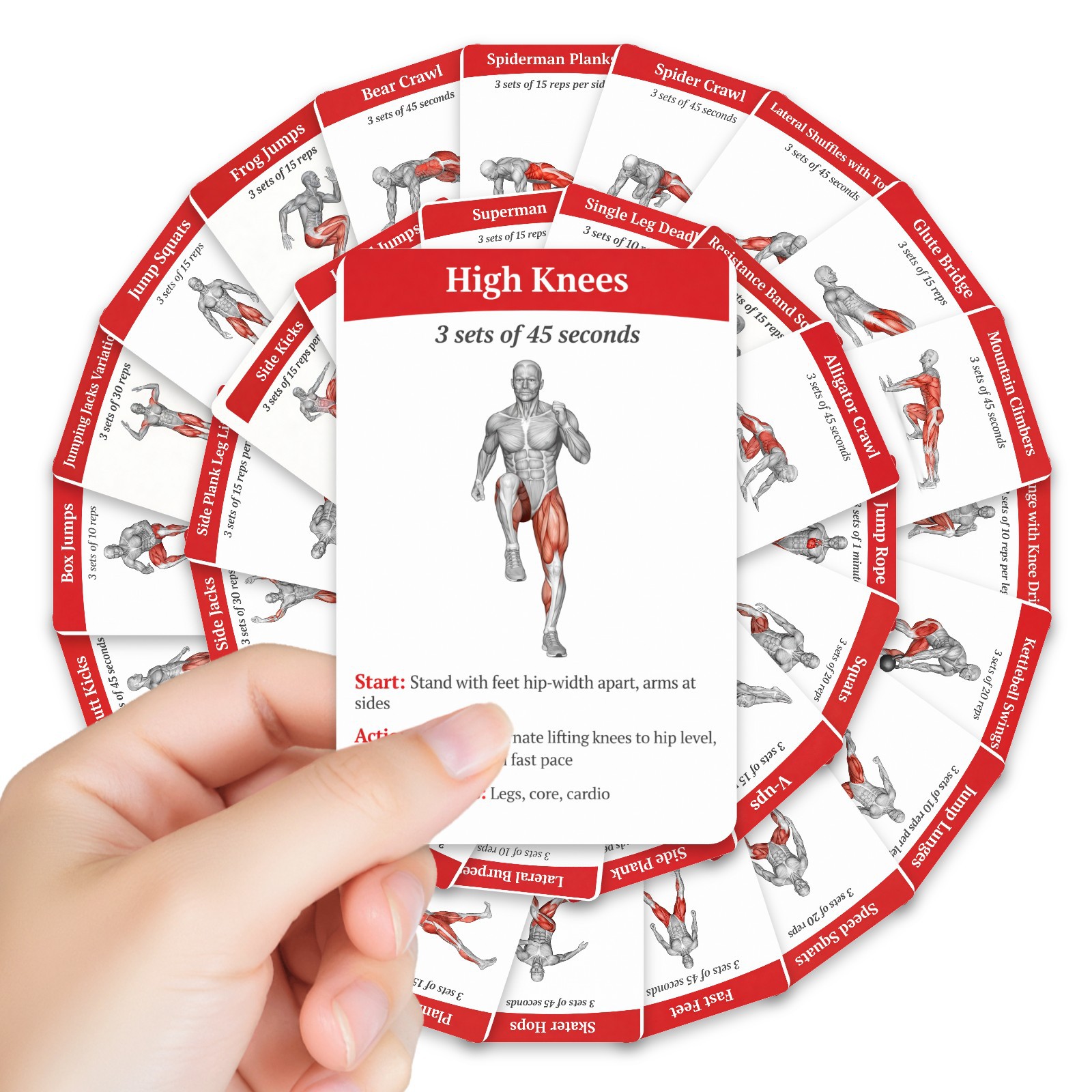 Home Gym Full Setup - 36Pcs Kartu Panduan Latihan Pembakaran Lemak