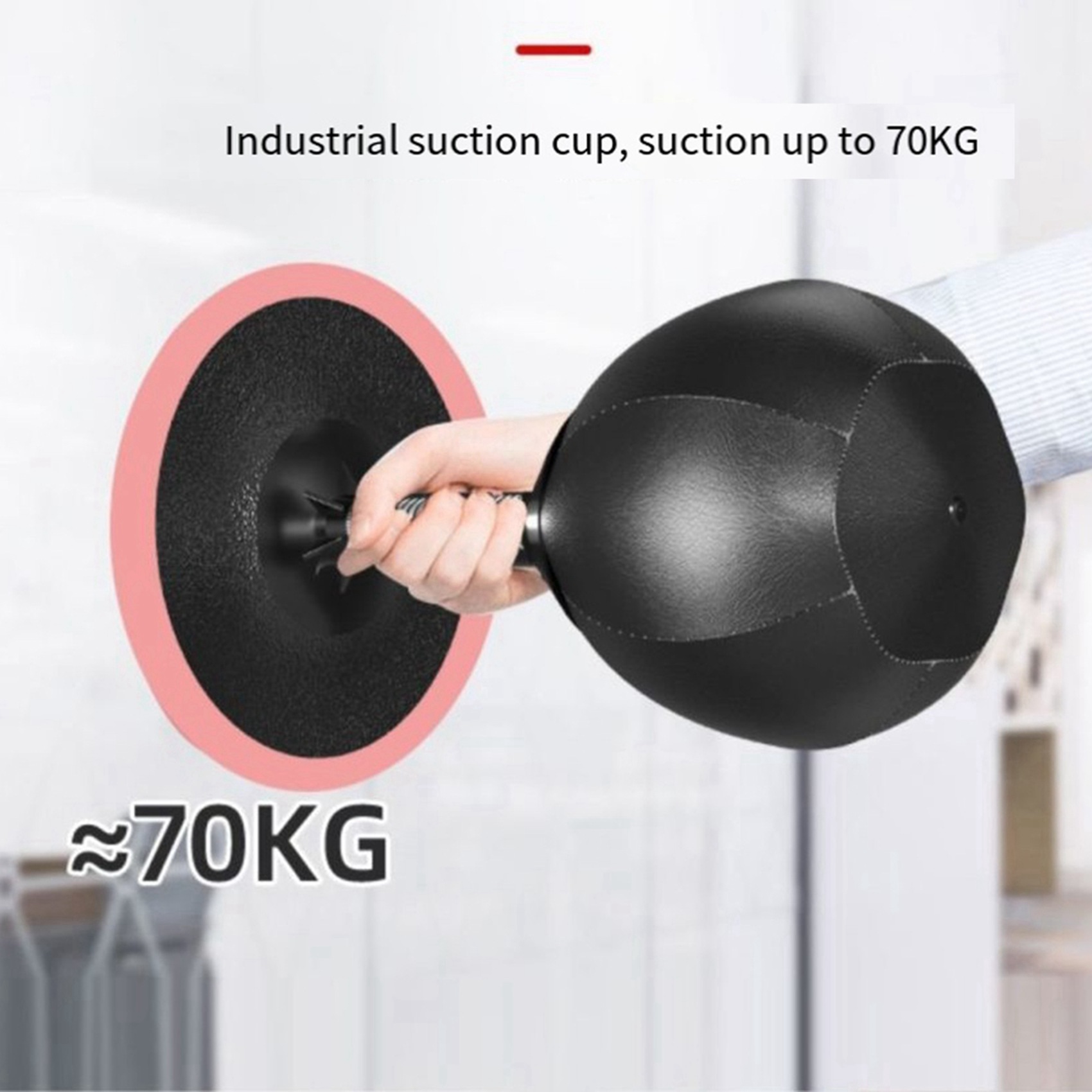 AINY-2X Samsak Tinju Desktop T - Speed Bag Boxing ulasan dan harga