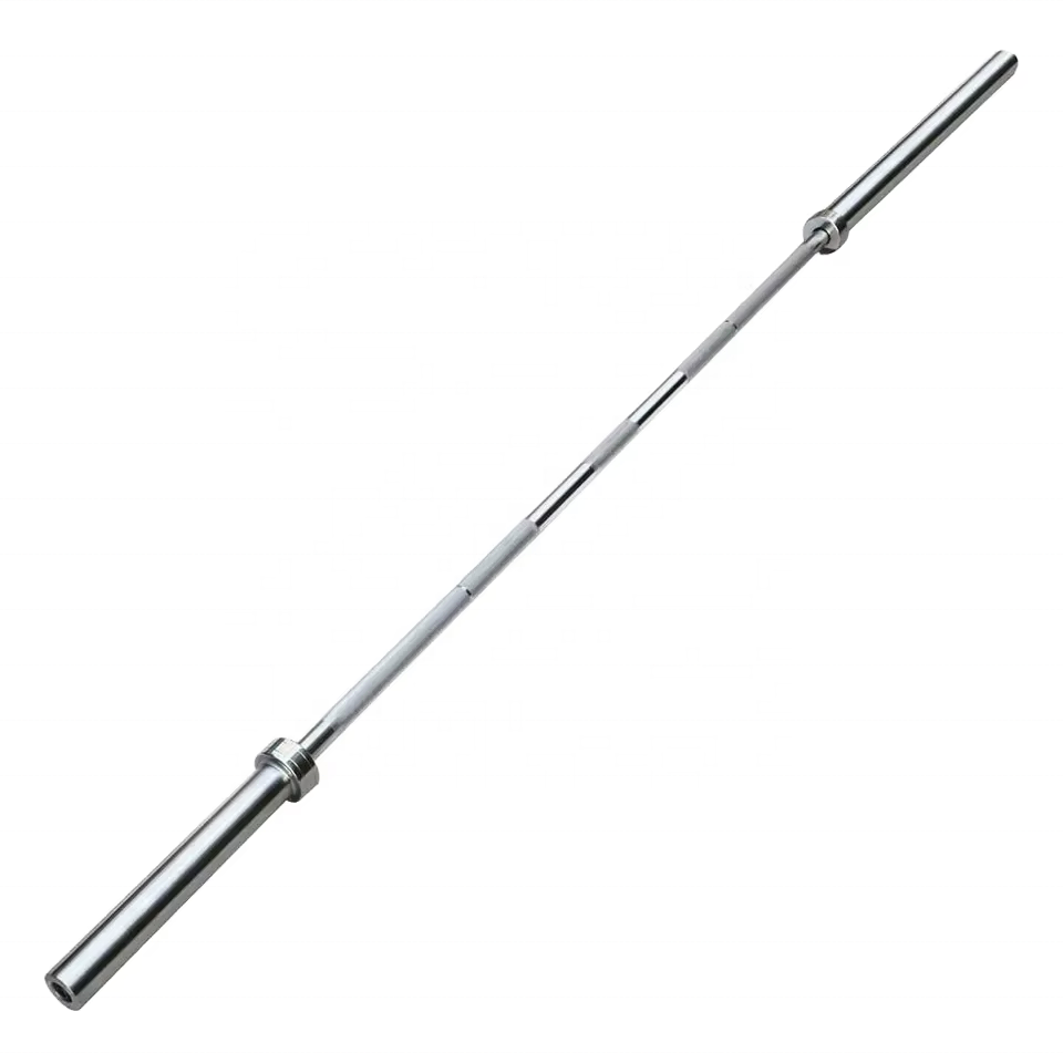 Barbel Baja 20kg untuk Latihan - Barbell Curl Bar ulasan dan harga