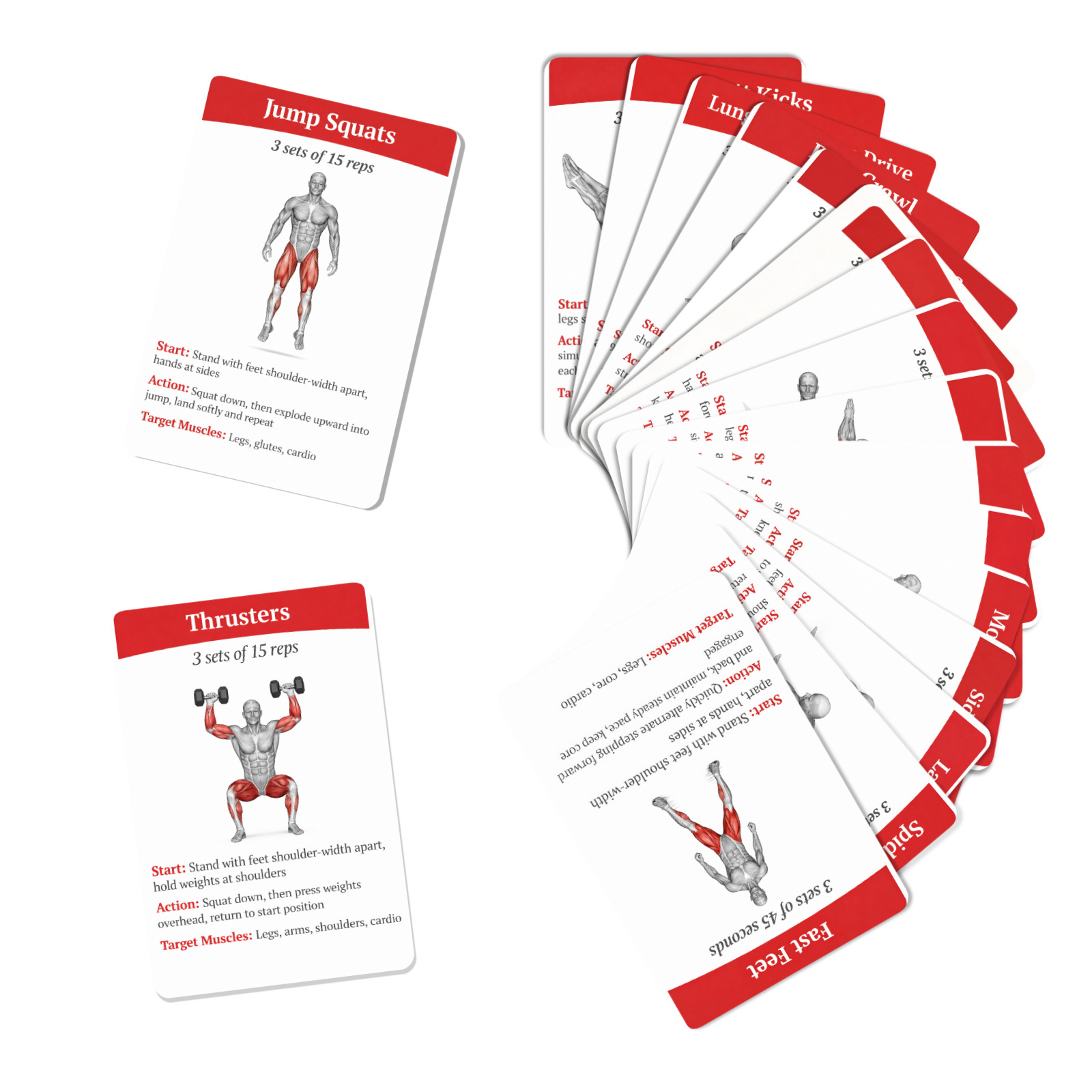 36Pcs Kartu Panduan Latihan Pe - Home Gym Full Setup ulasan dan harga